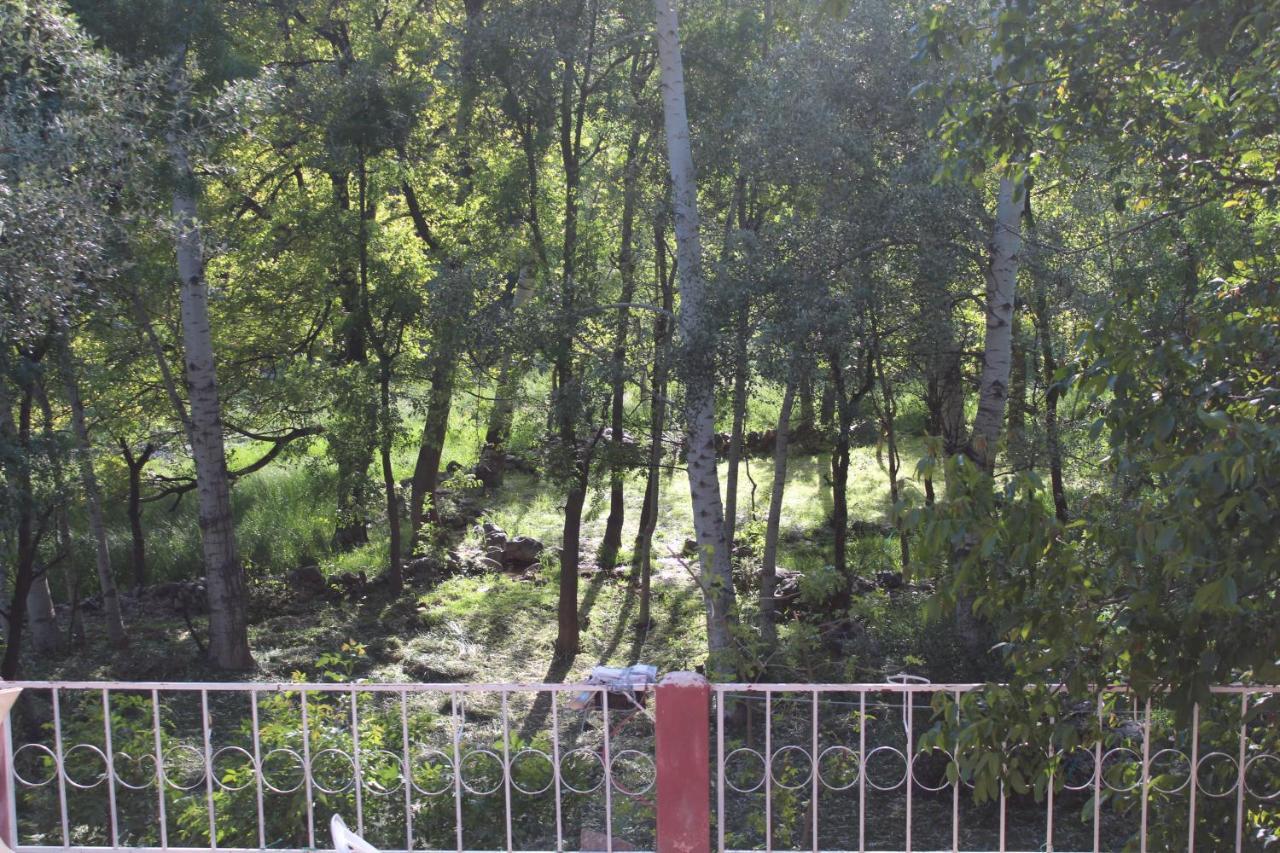Auberge Toubkal Amsouzart Aitst Idar Tizgui المظهر الخارجي الصورة