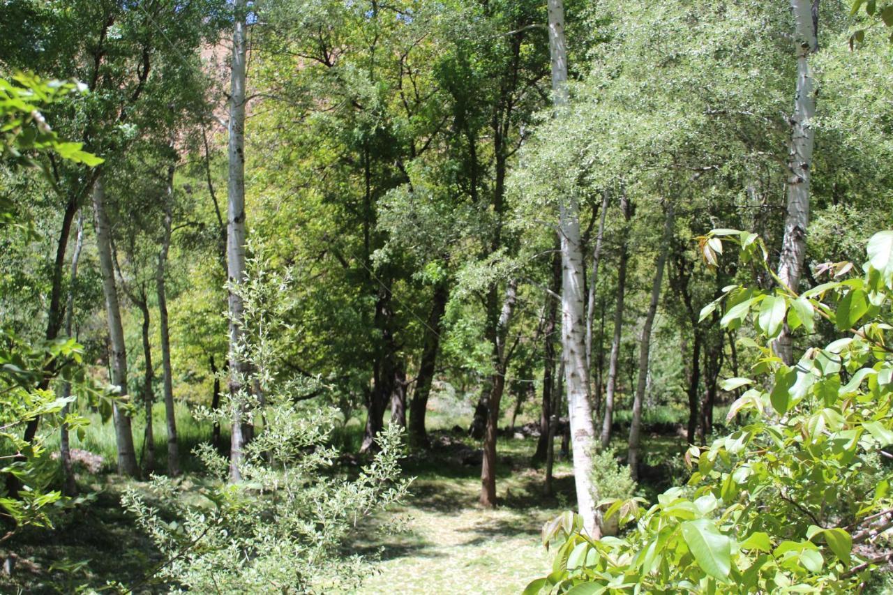 Auberge Toubkal Amsouzart Aitst Idar Tizgui المظهر الخارجي الصورة